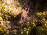 cayman_2012-524.jpg