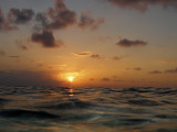 cayman_2012-292.jpg