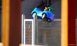 Unstable Toy