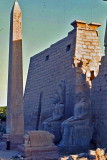 Egypte-202.jpg