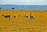 Kenya-351.jpg