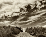 pathway in sand .jpg