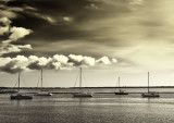 boats in harbour.jpg