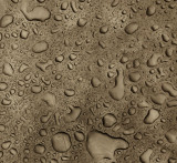 raindrops 2.jpg
