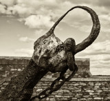 rusty chain 3.jpg