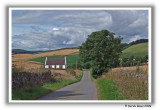 Fife Country Lane