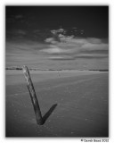 Tentsmuir Sands