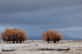 Snow at Patagonia