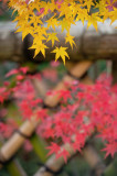 Koetsu-ji Temple