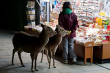 Nara-Rurie