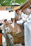 Gion Houjyo-e 2012