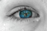 maxeye2 copy.jpg