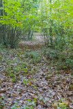 09112011-IMG_7505.jpg