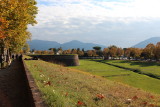 City Wall, Lucca, Italy