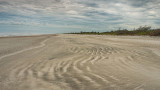 Little Talbot Island #10