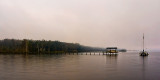 Mandarin Docks in the Mist II