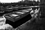 On Six Mile Creek II