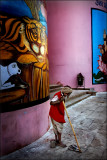 Under the eye of the Tigre