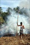 கரும்பு களம் தீ  Madurai