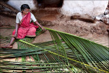 தென்னை இலை