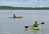 K5D5774.jpg