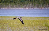 K5D5948.jpg