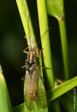 K5D6315-Unidentified.jpg