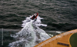 K5E4910-Pilot boat leaves the ship.jpg