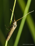 K5G0068.jpg