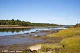 P6444-Maine.jpg