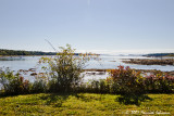 P6467-Maine.jpg