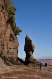 P6734-Hopewell Rocks.jpg