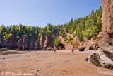 P6777-Hopewell Rocks.jpg