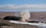 P6793-Hopewell Rocks.jpg