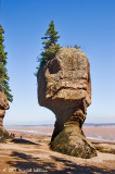 P7098-Hopewell Rocks.jpg