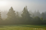 P7243-New Brunswick.jpg