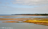 P8952-Wood Island P.E.I.jpg