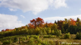 P9829-Nova Scotia.jpg