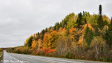 P0018-New Brunswick.jpg