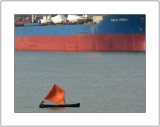 Little Red Sail