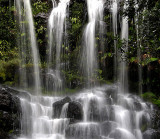 Nelson Falls Tassie No 2