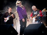 Dr. Hook Rocks<br>by Del Tubb 