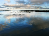 Karuah Oyster Bed Sunset 