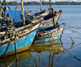 Mandovi River Fishing Fleet<br><h4>*Credit*</h4>