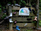 Shoes on Fence