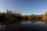 Powel Crosley Lake