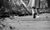 Powel Crosley Lake Wooden Walkway Autumn Afternoon