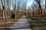 Long Path Rowe Woods