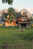 Zakopane