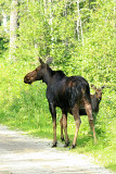 Manitoba